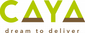 CAYA Constructs